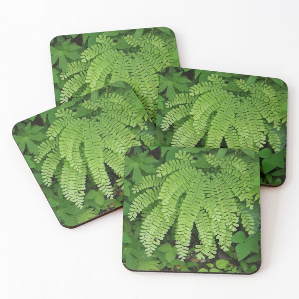 Item preview, Maidenhair Fern Growing in Greenery designed and sold by The Botanical Jason.