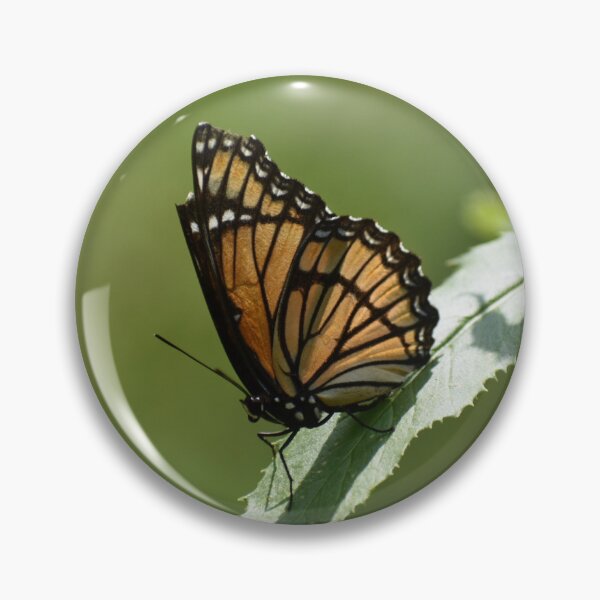 Item preview, Butterfly Photograph designed and sold by rosestuart.