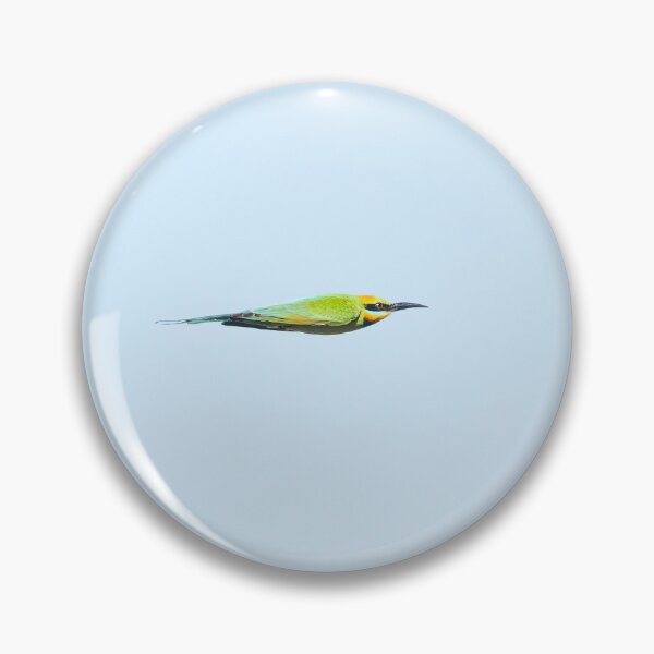 Item preview, Rainbow Bee-eater designed and sold by robdanimalphotography.
