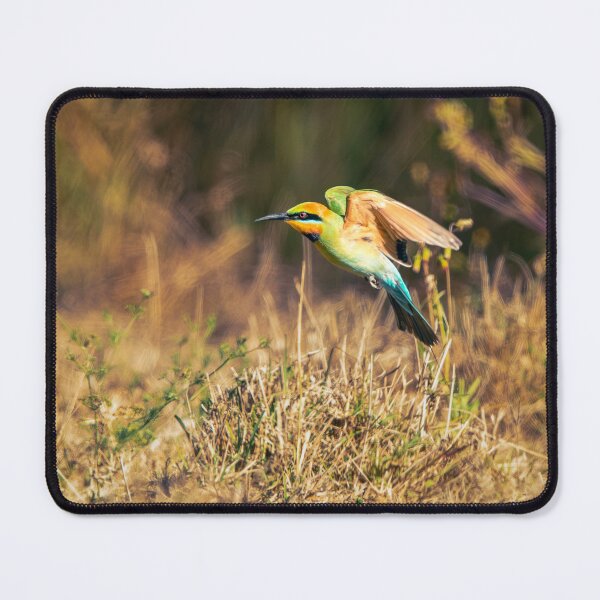 Item preview, Rainbow Bee-eater designed and sold by robdanimalphotography.