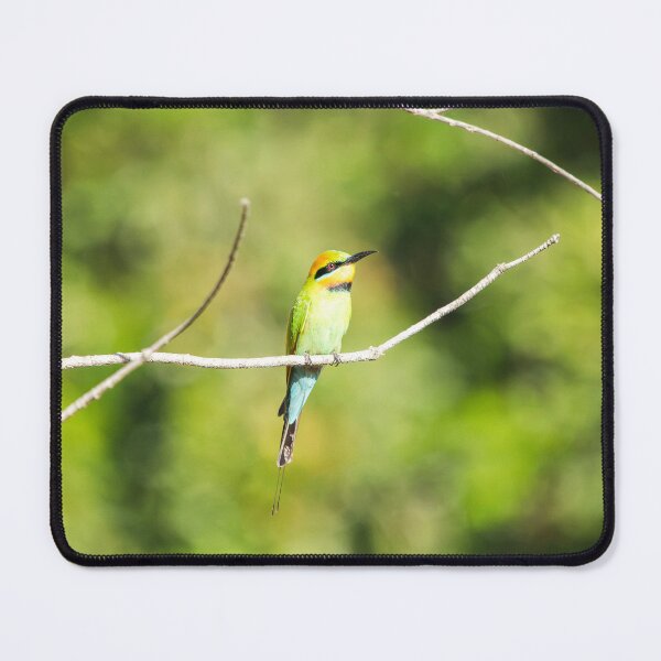 Item preview, Rainbow Bee-eater designed and sold by robdanimalphotography.