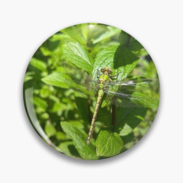 Item preview, Green Dragonfly Resting On Mint Leaves Nature designed and sold by LenaRus.