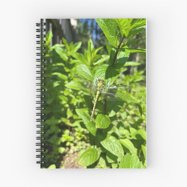 Item preview, Green Dragonfly Resting On Mint Leaves Nature designed and sold by LenaRus.