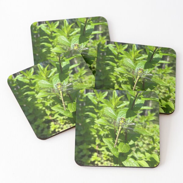 Item preview, Green Dragonfly Resting On Mint Leaves Nature designed and sold by LenaRus.