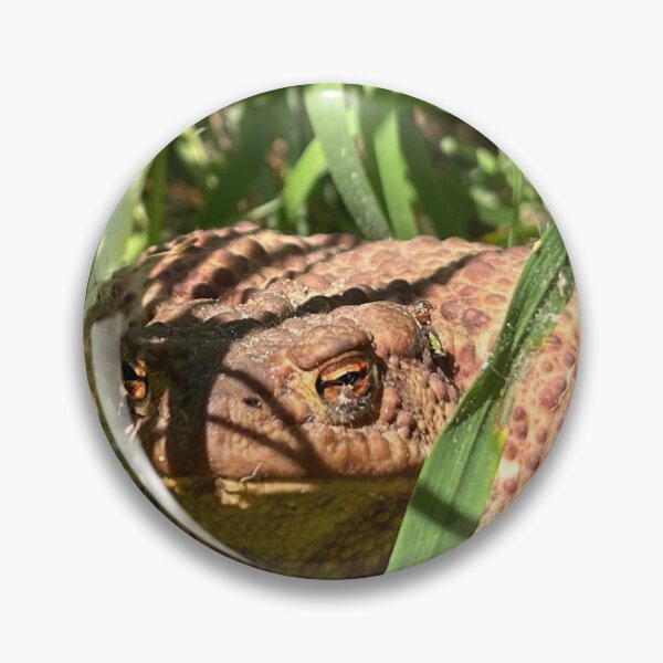 Item preview, Brown Toad In Green Grass Nature Photography designed and sold by LenaRus.