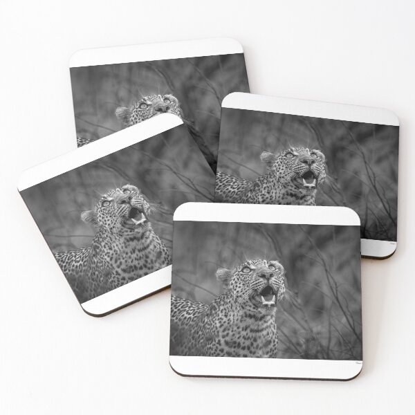 Item preview, Leopard Looking Up designed and sold by hwagemaker48.
