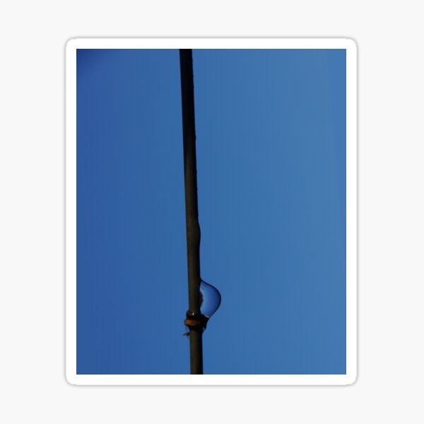 Item preview, On the Wire - Magpie Springs - Adelaide Hills Wine Region - South Australia designed and sold by MagpieSprings.