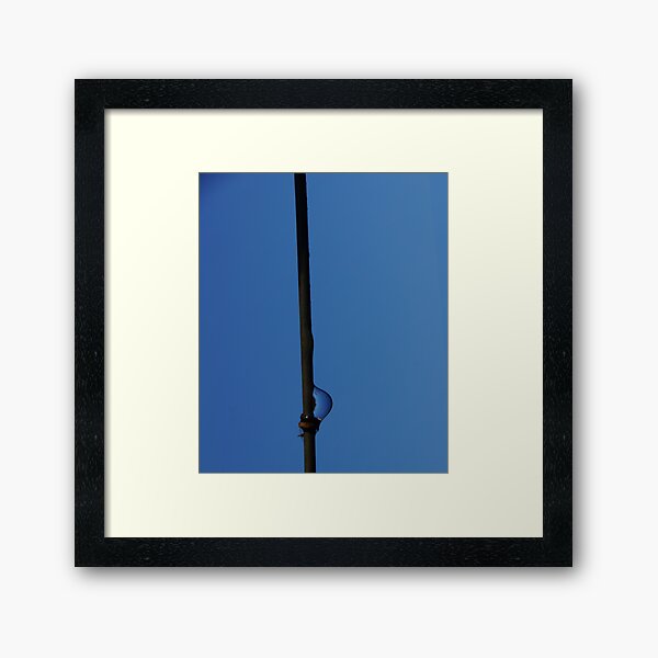 On the Wire - Magpie Springs - Adelaide Hills Wine Region - South Australia Framed Art Print