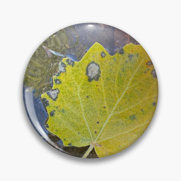 Aperçu de l'œuvre Feuilles dans une flaque par ElitebyElise créée et vendue par ElitebyElise.