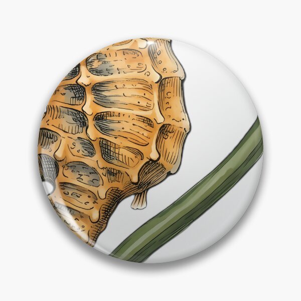 Item preview, Vintage Naturalist Seahorse — Antique Fish Art Print designed and sold by Catch333.