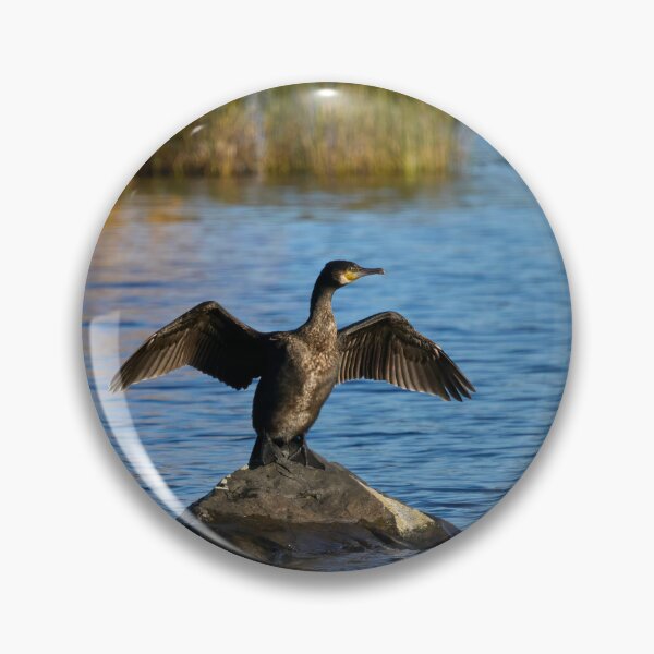 Item preview, The wings. Great Cormorant designed and sold by Jouko Lehto Photography.
