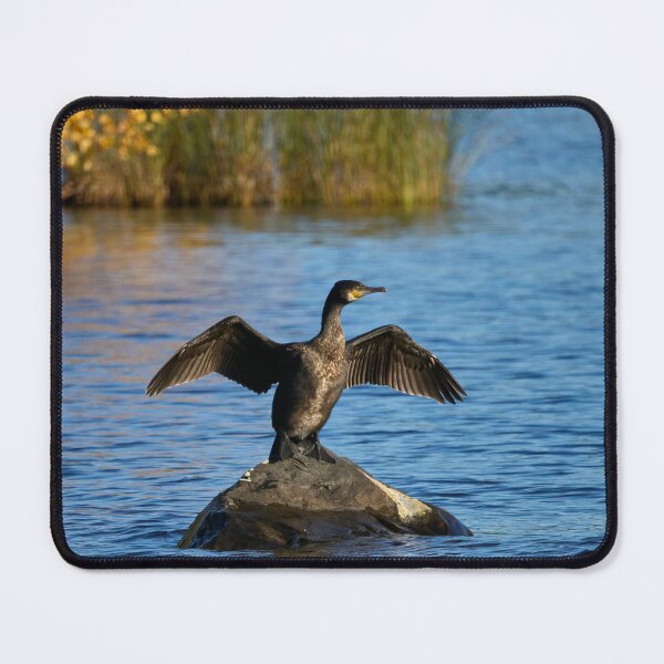 Item preview, The wings. Great Cormorant designed and sold by Jouko Lehto Photography.
