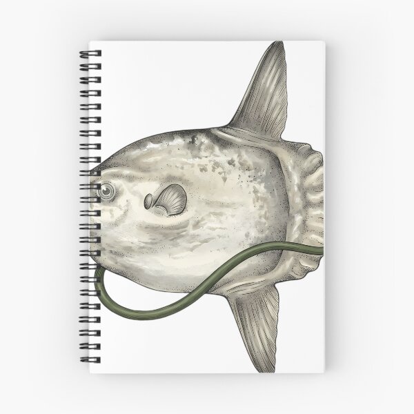 Item preview, Vintage Naturalist Ocean Sunfish — Antique Fish Art Print designed and sold by Catch333.