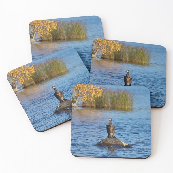 Item preview, The Speech. Great Cormorant designed and sold by Jouko Lehto Photography.