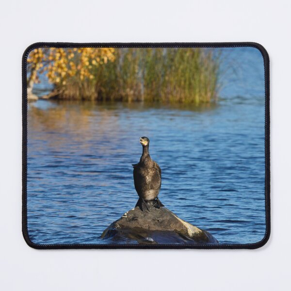 Item preview, The Speech. Great Cormorant designed and sold by Jouko Lehto Photography.