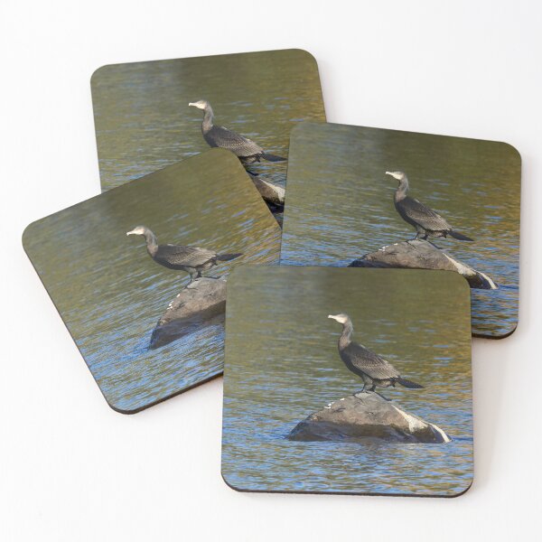 Item preview, Great Cormorant designed and sold by Jouko Lehto Photography.