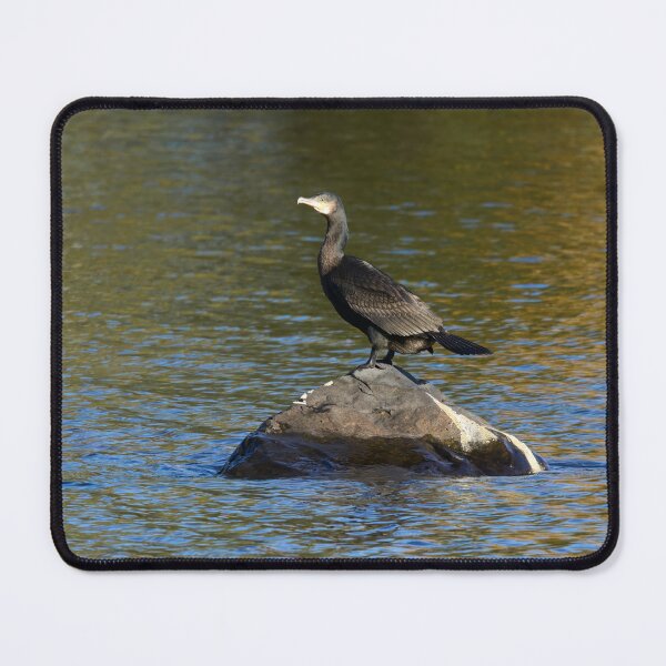 Item preview, Great Cormorant designed and sold by Jouko Lehto Photography.