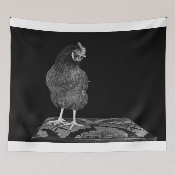 Item preview, Are you looking at me!?! designed and sold by GBNPHOTOGRAPHER.