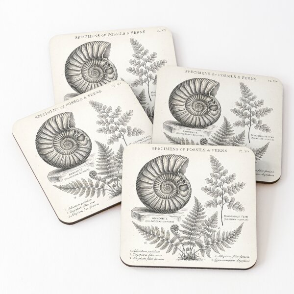 Item preview, Vintage Ammonite Fossil and Fern Botanical Illustration designed and sold by Michaelragheb.