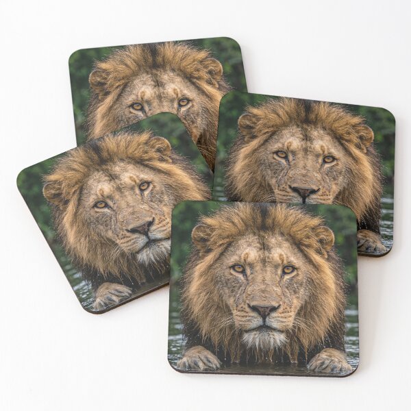 Item preview, Majestic Lion Portrait - The King in the Rain designed and sold by TeeBeeDesigns.