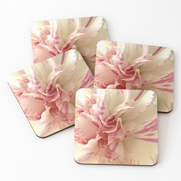 Item preview, Pink and White Carnation Flower Macro Photography designed and sold by LenaRus.