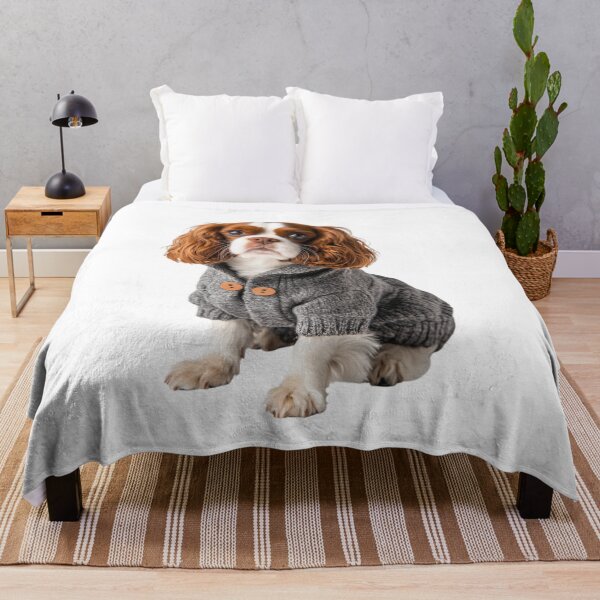 Item preview, Cute Cavalier King Charles Spaniel in Sweater designed and sold by LuxChu.