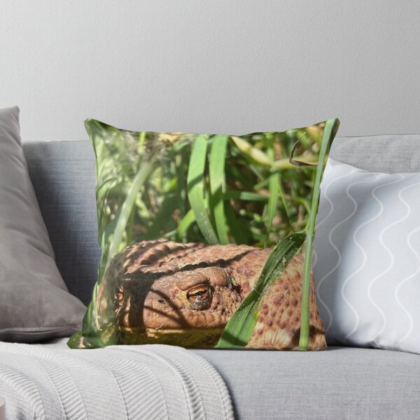 Item preview, Brown Toad In Green Grass Nature Photography designed and sold by LenaRus.