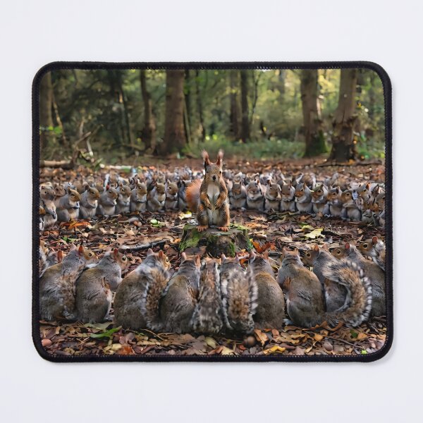 Item preview, Red squirrel leader of the grey squirrel pack - meeting circle designed and sold by TeeBee1234.