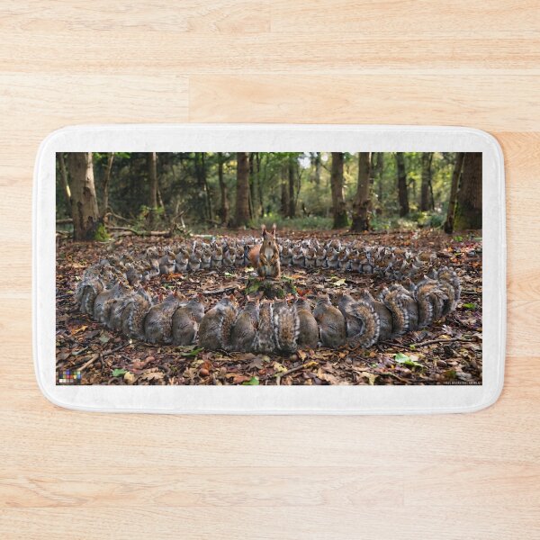 Item preview, Red squirrel leader of the grey squirrel pack - meeting circle designed and sold by TeeBee1234.
