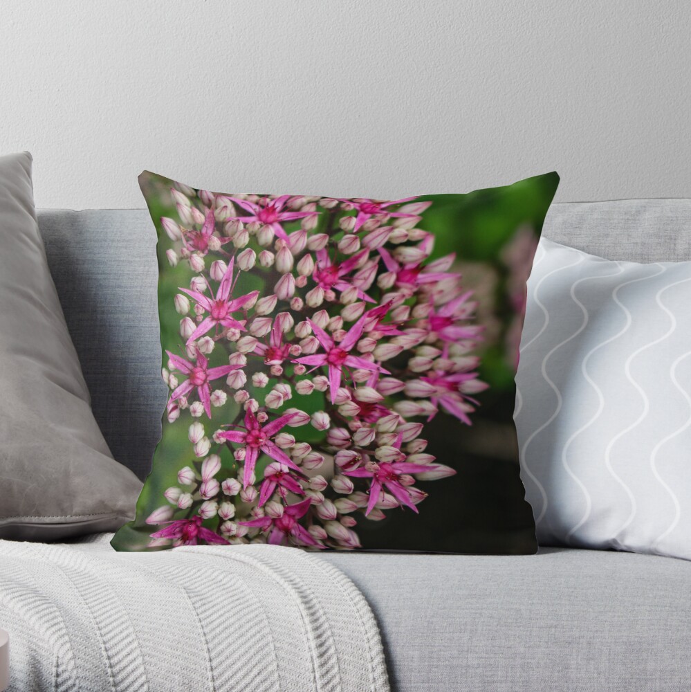 Sedum Autumn Joy Throw Pillow