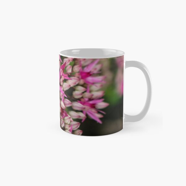 Sedum Autumn Joy Classic Mug