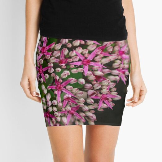 Sedum Autumn Joy Mini Skirt