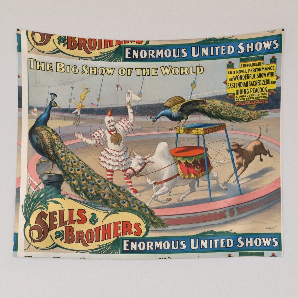 Item preview, Sells Brothers Circus Zebu Peacock designed and sold by artofuniverse.