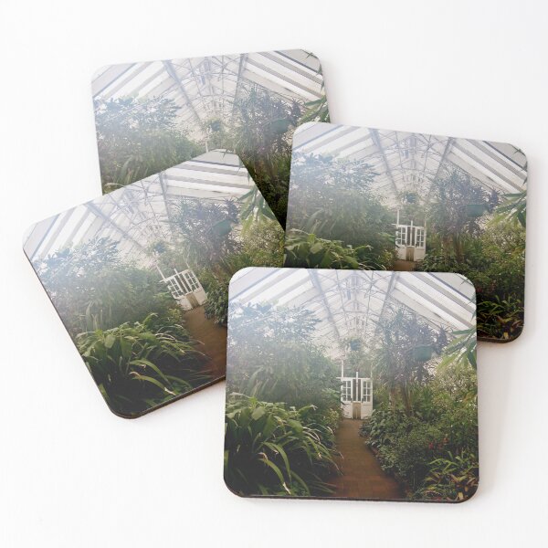 Item preview, Tropical House, Dunedin Botanic Garden, New Zealand designed and sold by Douglas E. Welch Design and Photography.