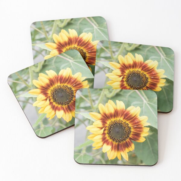 Item preview, Wet Sunflower Blooming in Warm Yellow and Rufous Red designed and sold by Georgia Mizuleva.