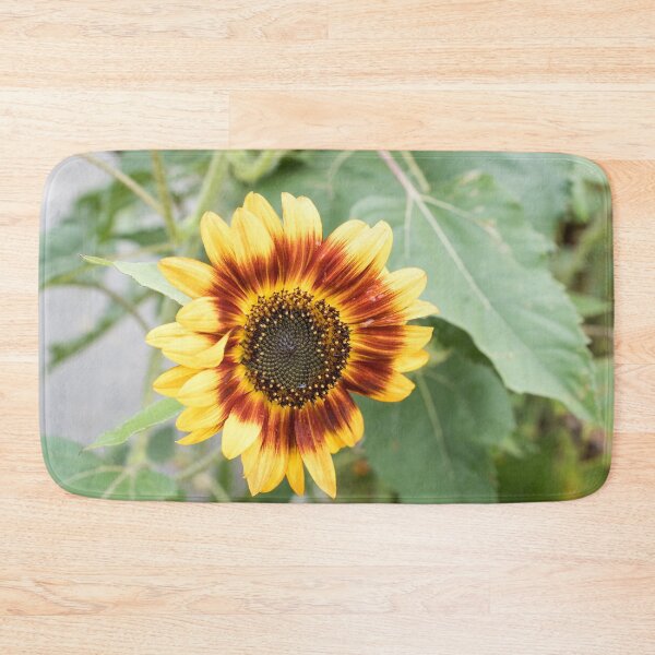 Item preview, Wet Sunflower Blooming in Warm Yellow and Rufous Red designed and sold by Georgia Mizuleva.
