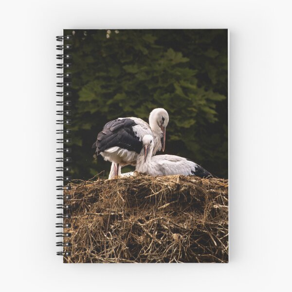 Item preview, Storks designed and sold by Kotrynarawr.