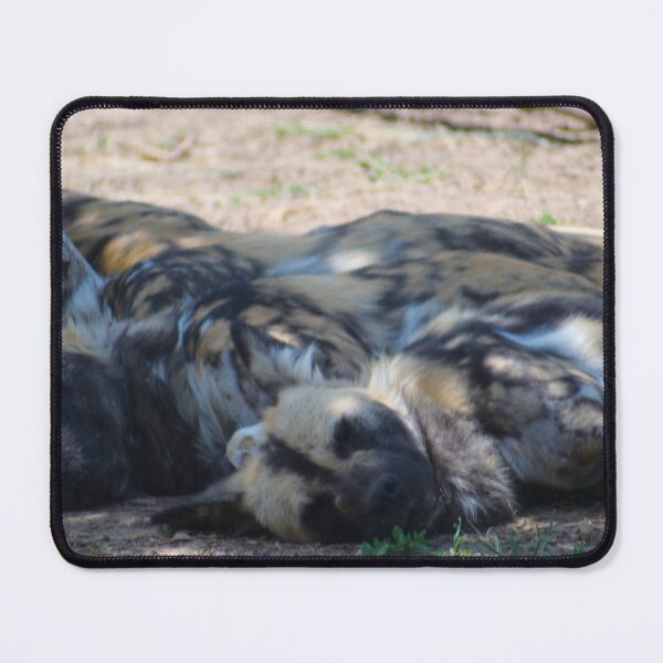 Item preview, Sleeping Painted Dogs designed and sold by Creek Nymph Photography.