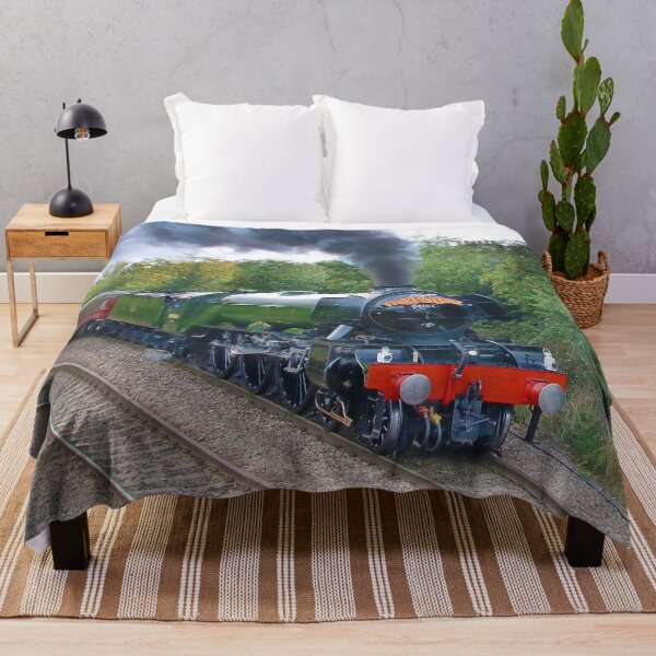 Item preview, Flying Scotsman Bootham York designed and sold by Colin Williams Photography.