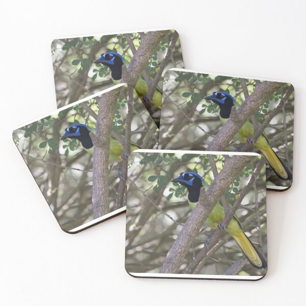 Item preview, Green Jay designed and sold by EnglandEcology.