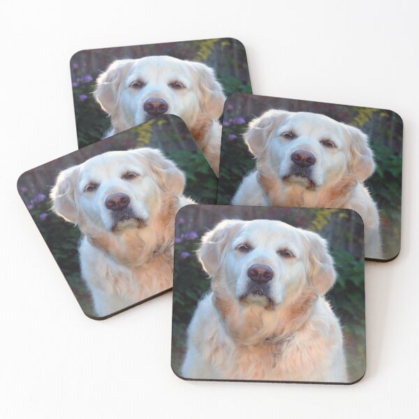 Item preview, Golden Retriever Dog Pet Portrait designed and sold by AndyEvansPhotos.