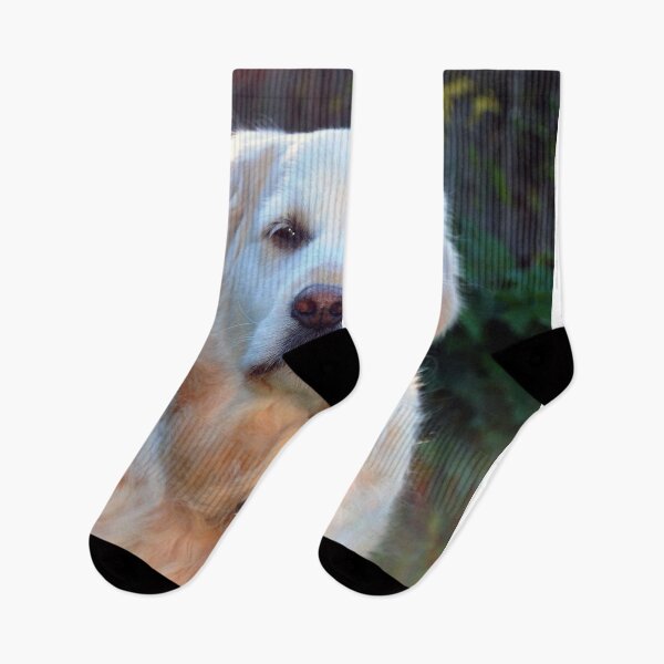 Item preview, Golden Retriever Dog Pet Portrait designed and sold by AndyEvansPhotos.