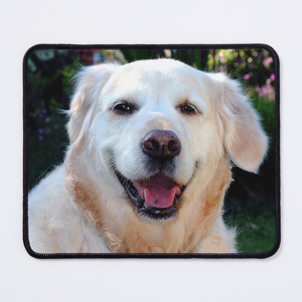 Item preview, Golden Retriever Dog Pet Portrait designed and sold by AndyEvansPhotos.