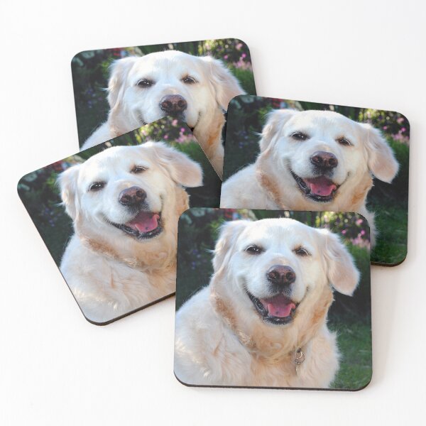 Item preview, Golden Retriever Dog Pet Portrait designed and sold by AndyEvansPhotos.