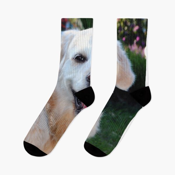 Item preview, Golden Retriever Dog Pet Portrait designed and sold by AndyEvansPhotos.