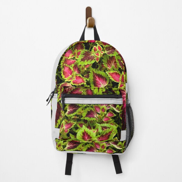 Item preview, Coleus photo design designed and sold by thilu-hobby.