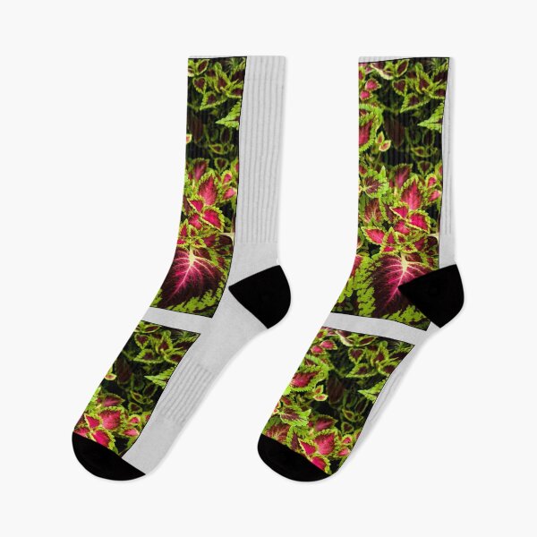 Item preview, Coleus photo design designed and sold by thilu-hobby.