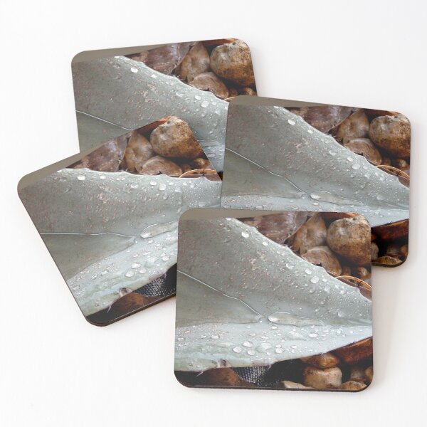Item preview, Wet Agave Leaf designed and sold by gistinker.