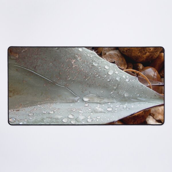 Item preview, Wet Agave Leaf designed and sold by gistinker.