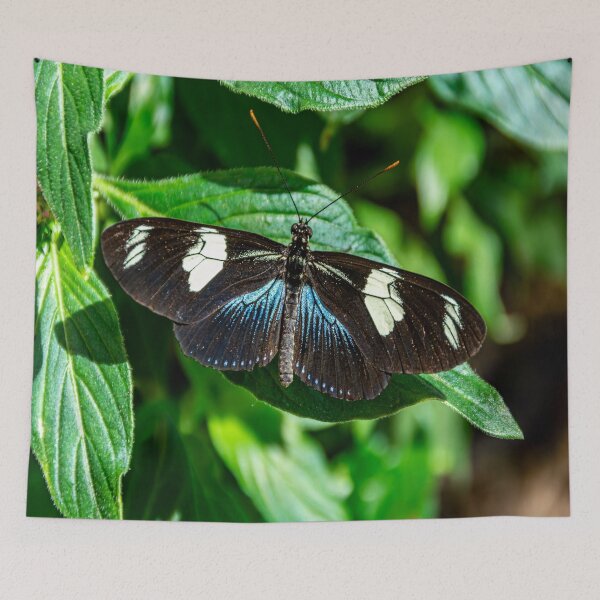 Item preview, Sara Longwing Butterfly designed and sold by JLW Photos.